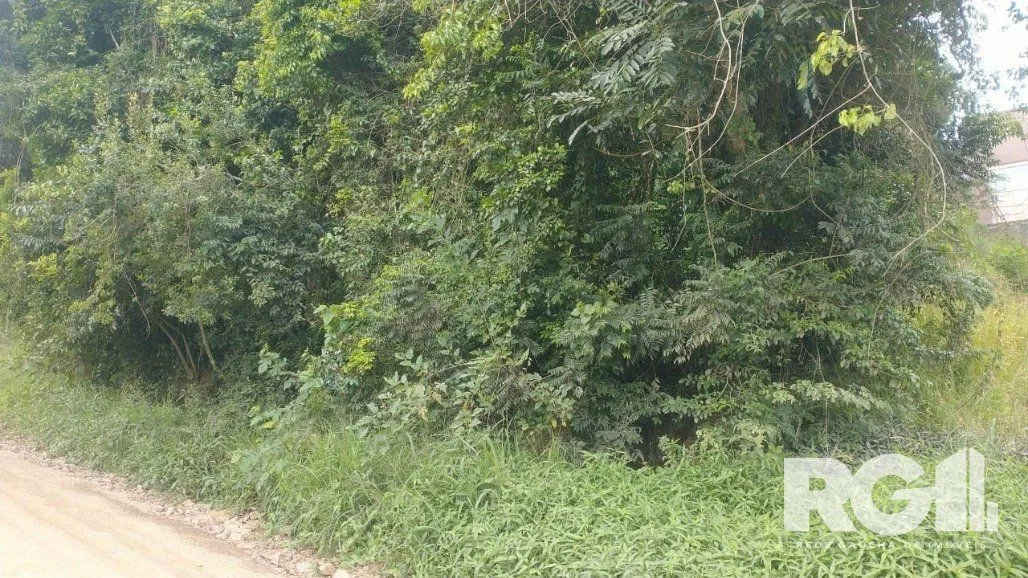 Imagem Terreno em Fiuza