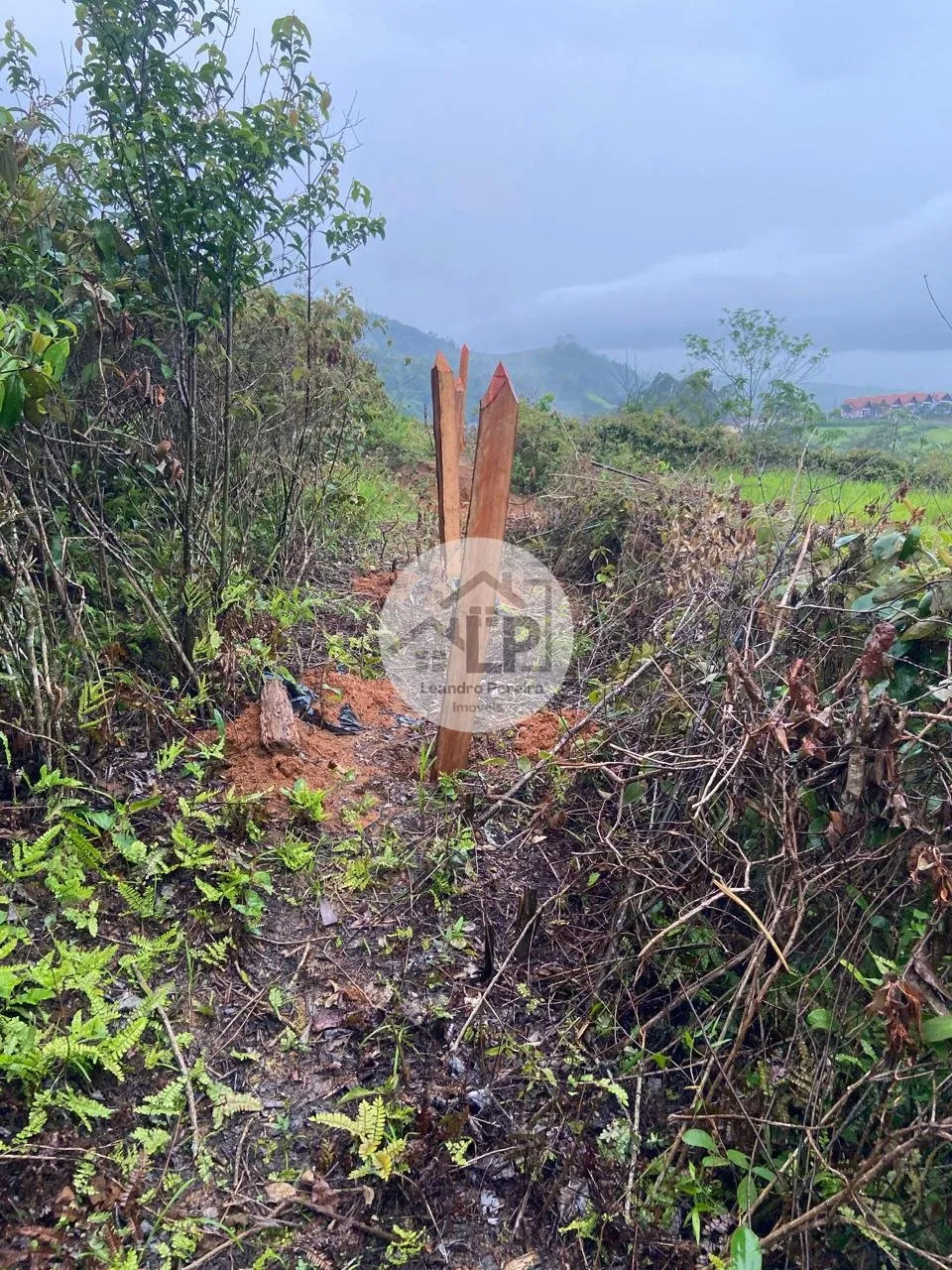 Imagem Terreno 11.000 m à Venda em Penedo / Itatiaia - RJ