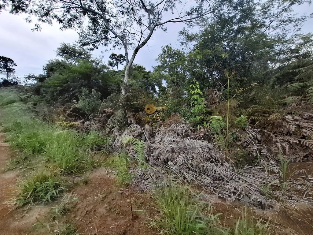 Imagem Terreno para Venda em Teresópolis / RJ no bairro Parque Boa União