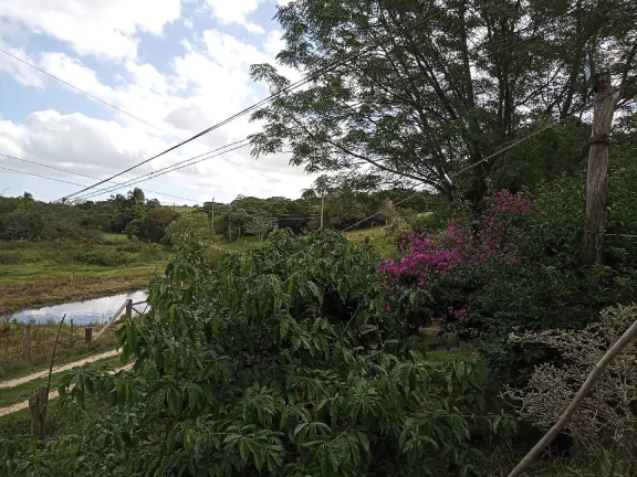 Imagem Sítio Rural com 3.6 hectares, açude, localizado no Capão da porteira