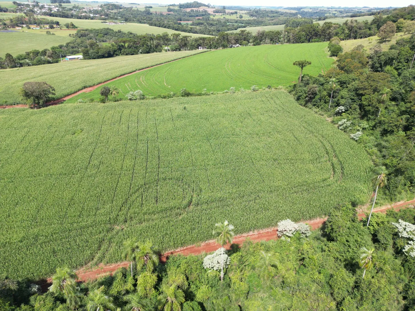 Imagem Chacara a venda em Rio do Salto Cascavel