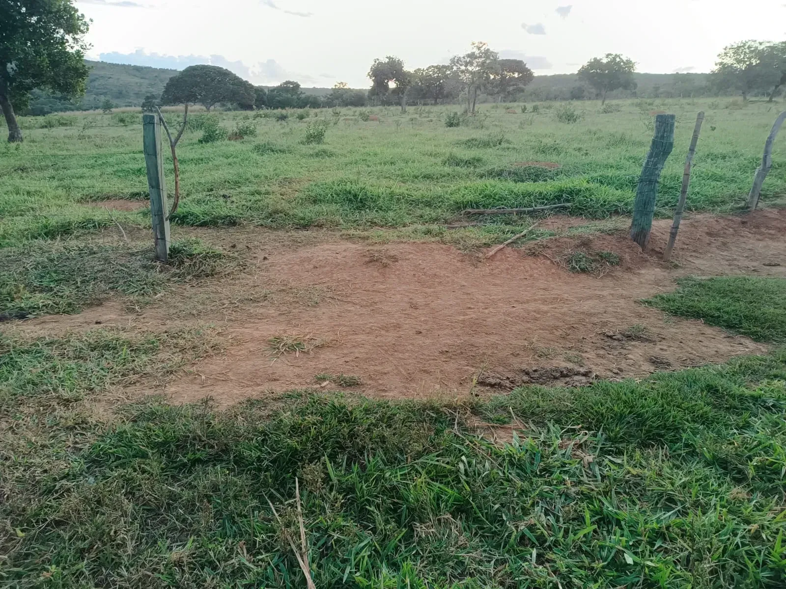 Imagem Fazenda à Venda, 247 HA em Samambaia Sul - Brasília