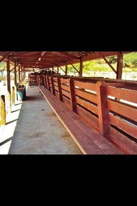 Imagem Fazenda Exclusiva em Brumadinho 500 hectares
