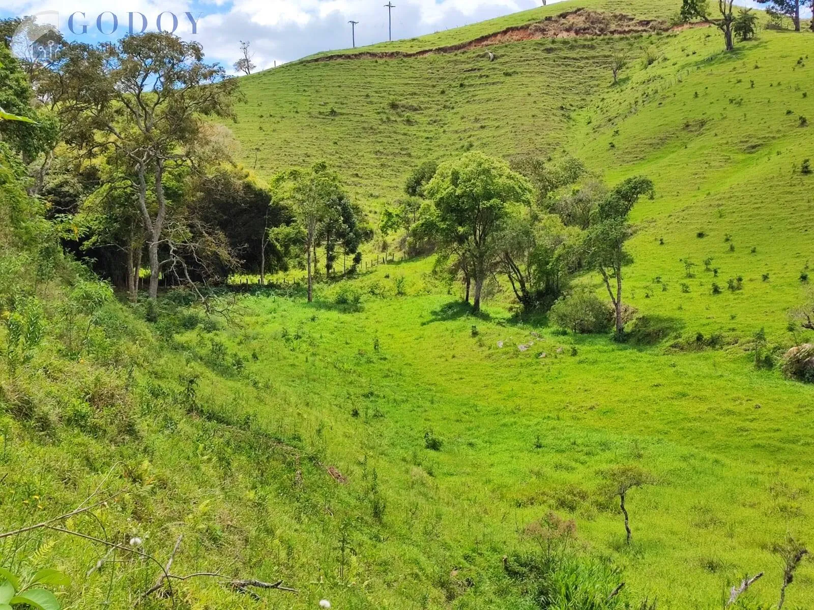Imagem Área de 48.000 m² com excelente localização em Cunha/SP.