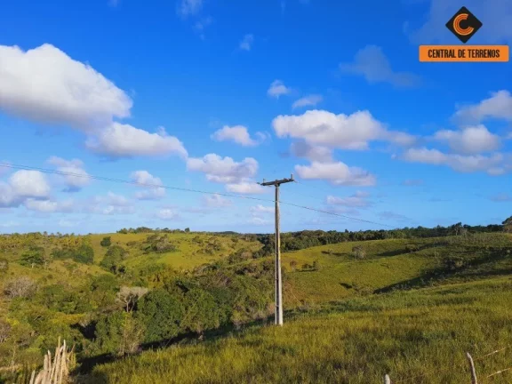 Imagem FAZENDA EM MATA DE SÃO JOÃO