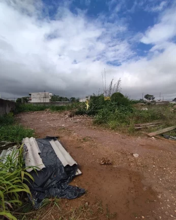 Imagem Área em Pinhais PR, murada e aterrada, contendo 5.000 metros quadrados