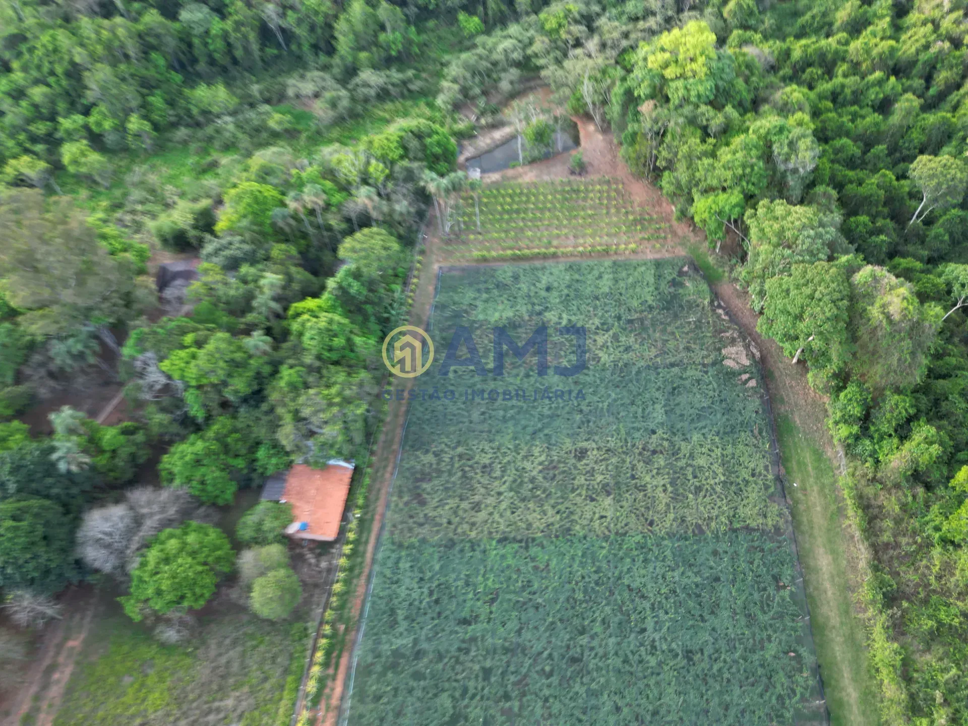 Imagem DUAS CHÁCARAS VIZINHAS À VENDA | HIDROLÂNDIA/GO