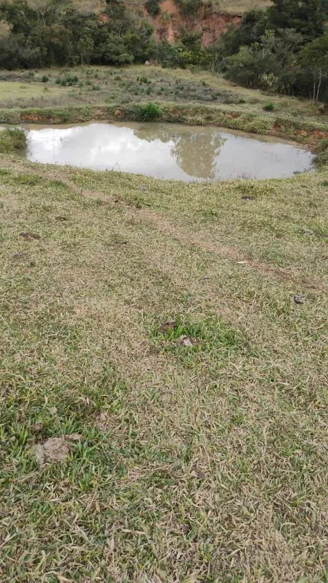 Imagem Fazenda à Venda em Belo Vale/MG | 42 Hectares | R$ 2.800.000,00
