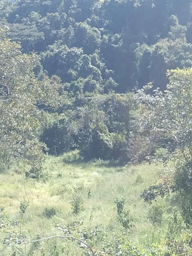 Imagem Ótima Oportunidade em Itaguara/MG: Terreno de 6 Hectares no Povoado Boa Vista