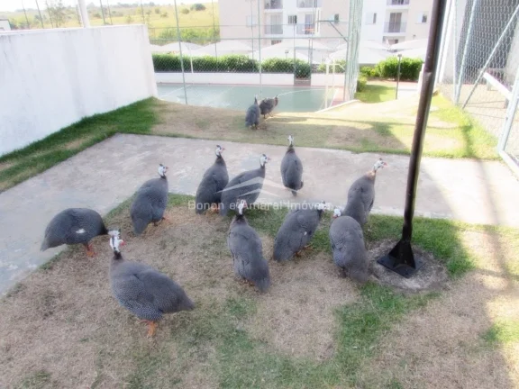 Imagem Imóvel