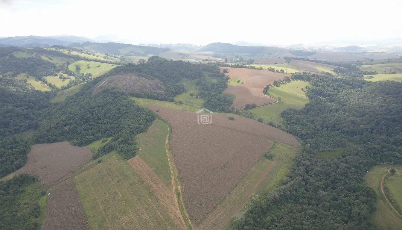 Imagem Fazenda 338,8 ha à venda em Itacolomi, Ipuiúna