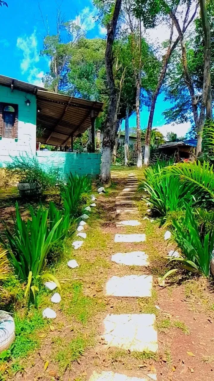 Imagem Chácara com 3 Quartos à Venda, 1300 m² em Estância São Luís - Suzano