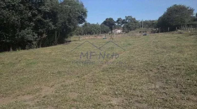 Imagem Terreno Padrão