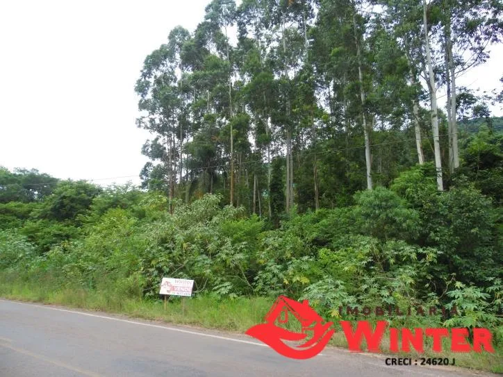 Imagem Área de terra com 7.884,70m² no São Roque/ Feliz.