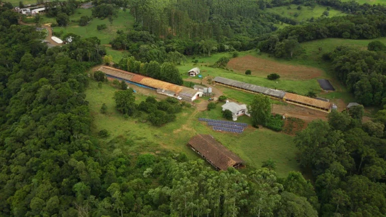 Imagem Área Agrícola para Venda em Concórdia, Interior