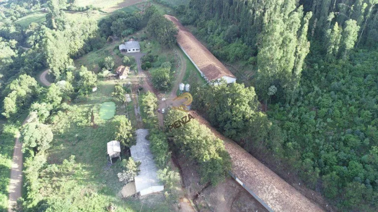 Imagem Área Agrícola para Venda em Ipumirim, Centro