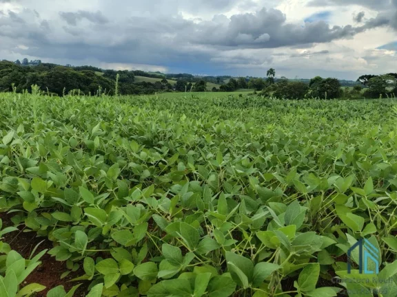 Imagem Terreno com 9,2 Alqueires, área verde ideal para plantio ou construção, em Campo Largo PR