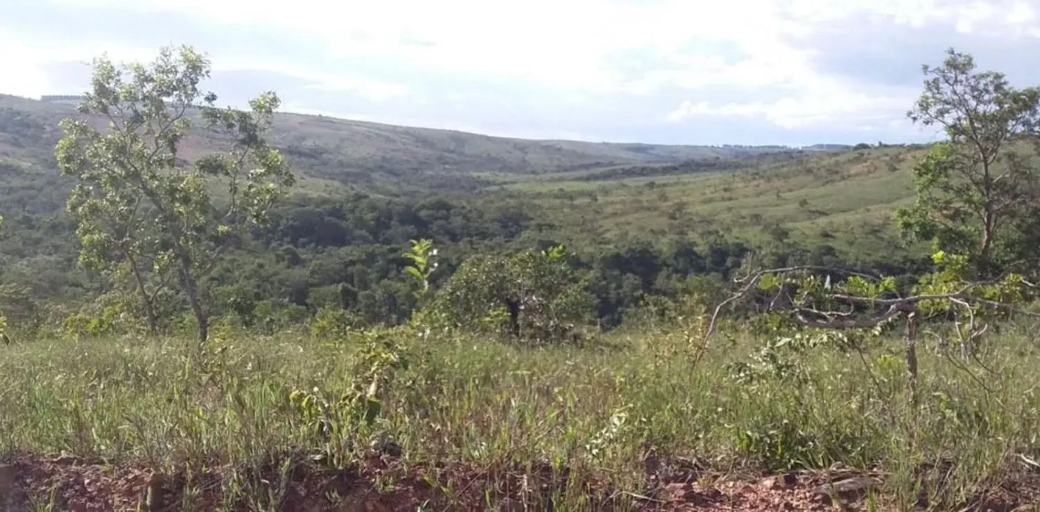 Imagem OTIMA FAZENDA A VENDA EM TRÊS MARIAS 663 HECTARES de terra