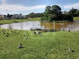 Imagem Casa em Hípica