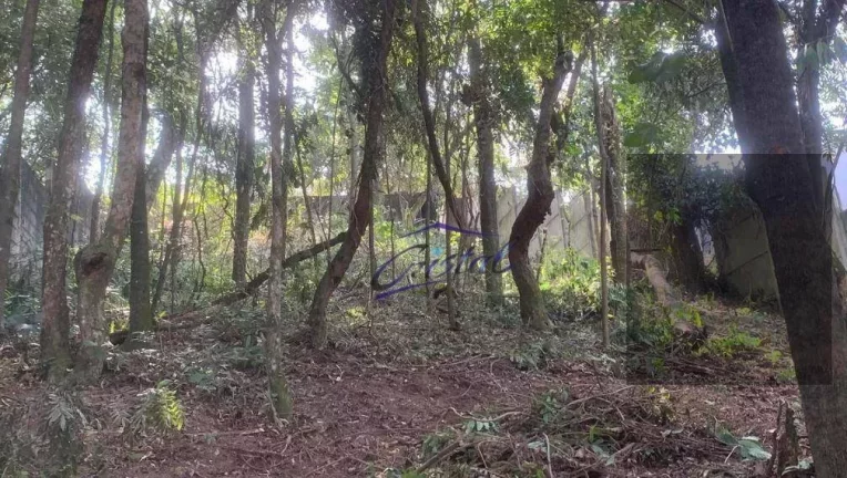 Imagem Terreno à venda, 548 m² por R$ 800.000,00 - Butantã - São Paulo/SP