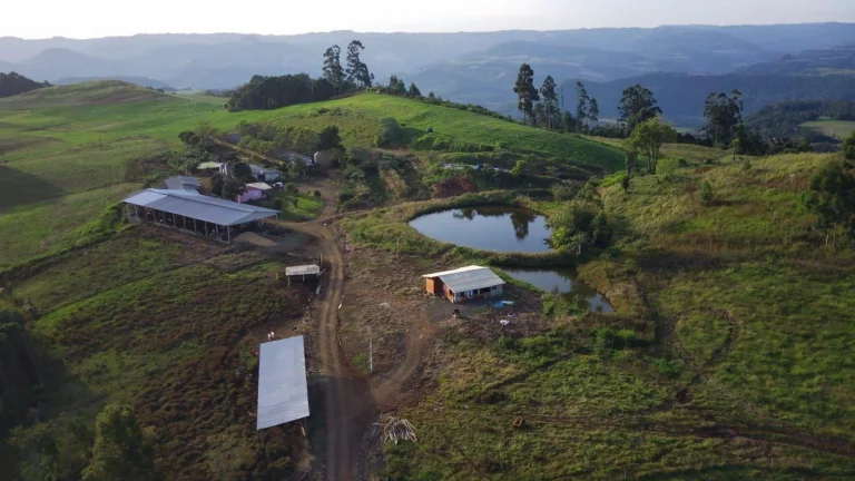 Imagem Área Agrícola para Venda em Concórdia, Interior