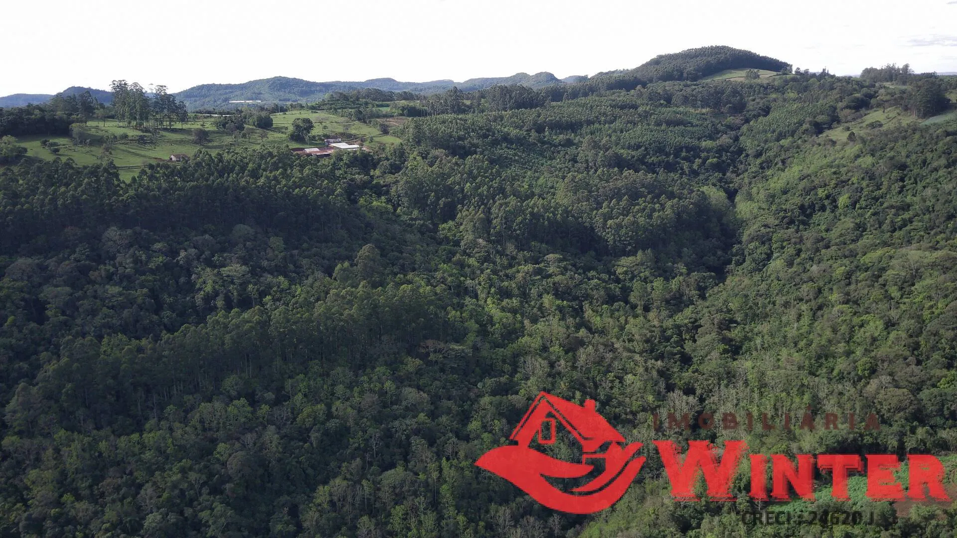 Imagem Área de terras com 7,25 hectares em Morro Grande, Linha Nova.