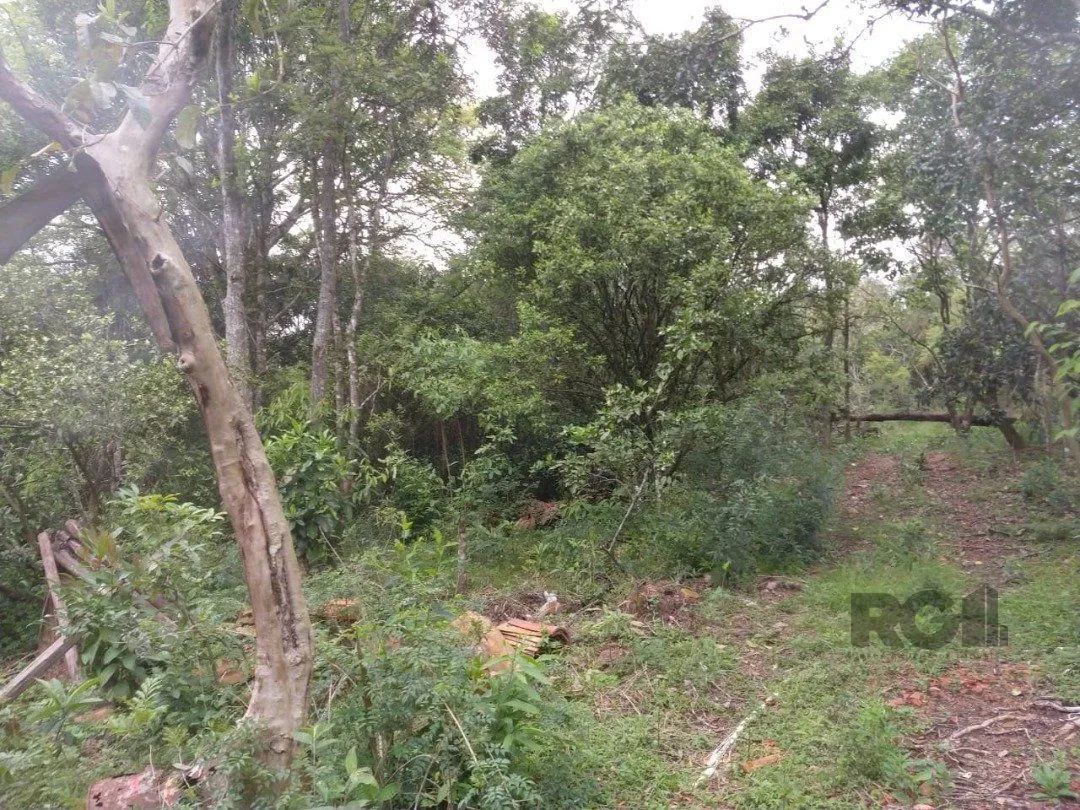 Imagem Area 6,69ha | Bairro Belem Velho