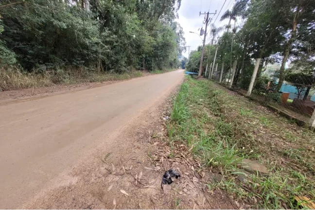 Imagem CAM 1267 612541026-5 - Fazenda à venda no bairro Centro - Viamão/RS