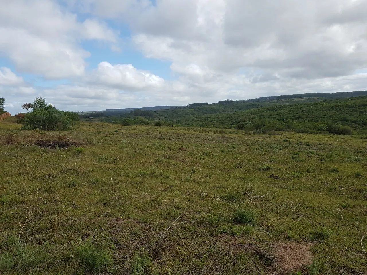 Imagem Sítio para Venda em Pedro Osório, Brasileiras