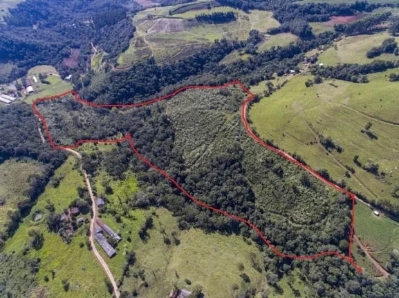 Foto do imóvel Área Agrícola para Venda em Lindóia do Sul, Rural em Quinze de Novembro