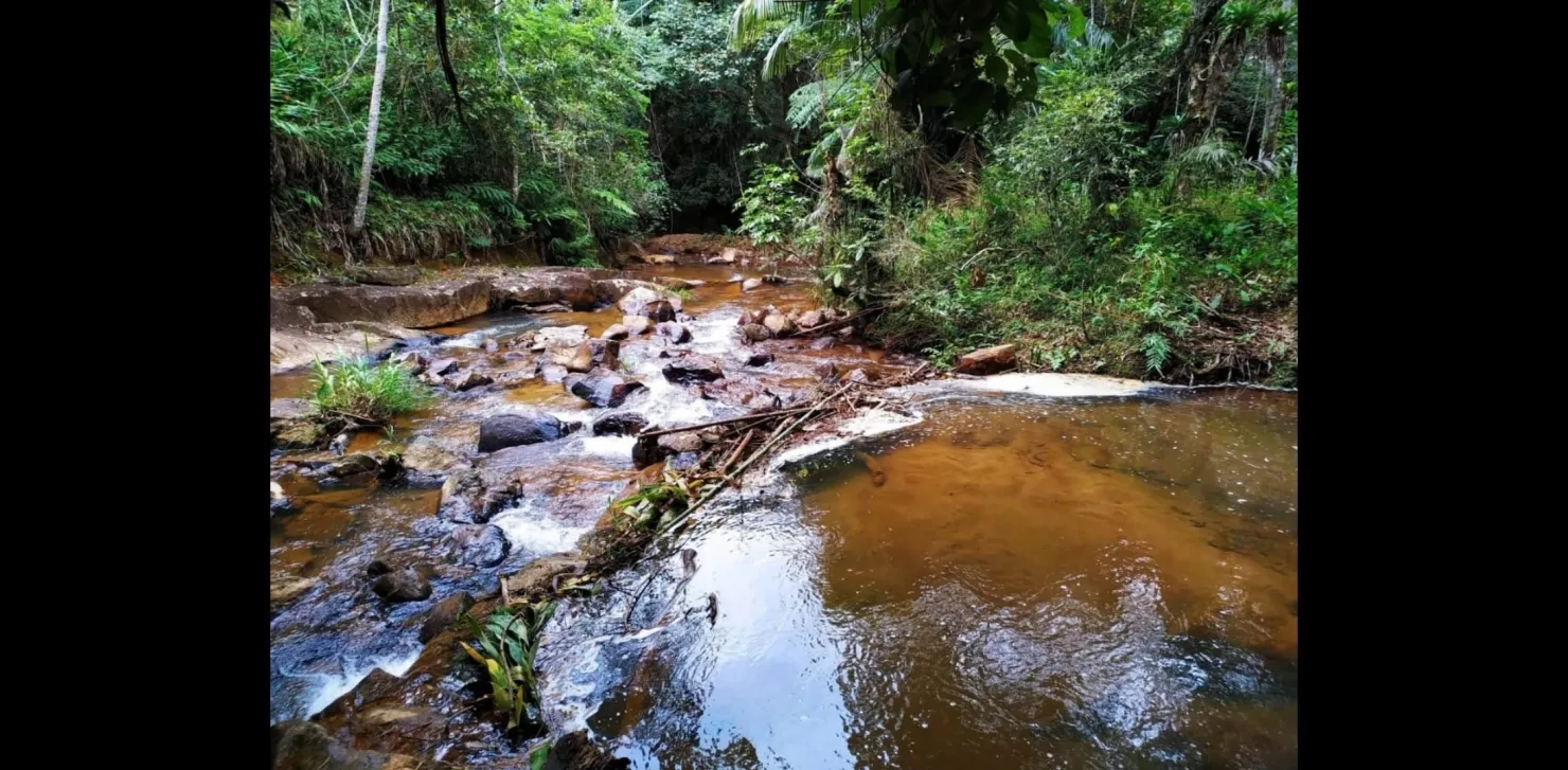 Imagem Chácara à venda 3 Quartos, 1 Suite, 488000M², Zona Rural, Monteiro Lobato - SP