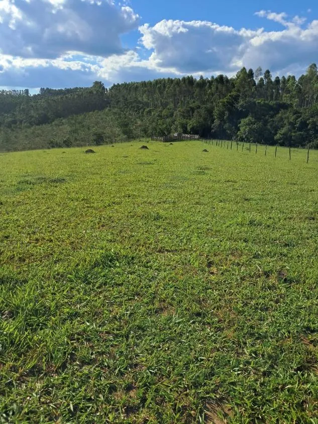 Imagem Terreno à Venda entre Oliveira e Morro do Ferro: 33 Hectares com Topografia Plana