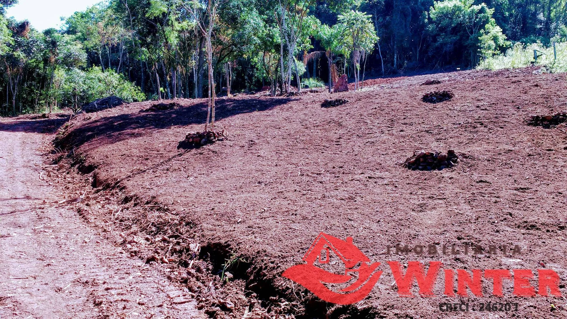 Imagem Área de terras de 35.000,00m² bairro São Roque, Feliz.