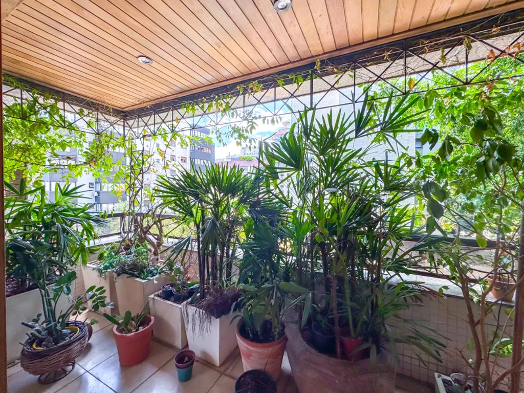Imagem Apartamento em Bela Vista