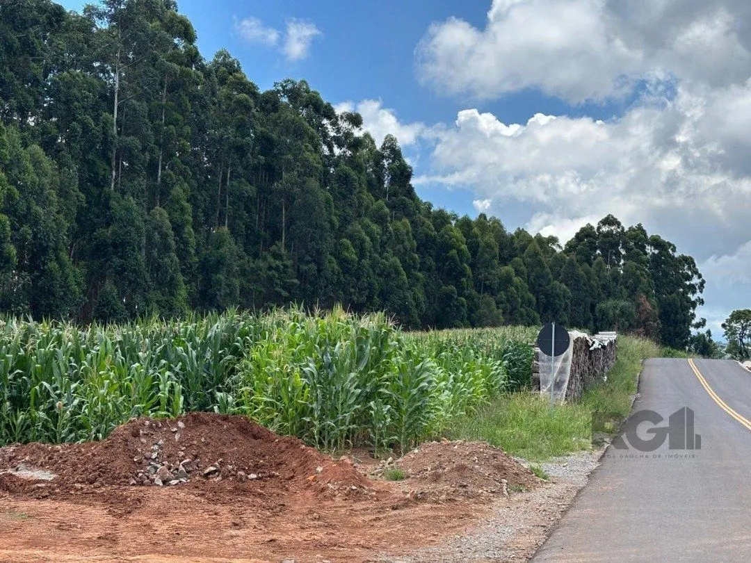 Imagem Lindo Sitio 5,4 ha a 7km do Lago Negro