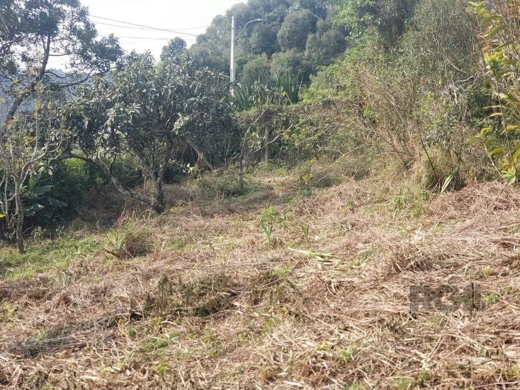 Imagem Terreno em Vila Nova