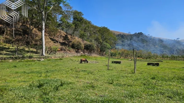 Imagem Sitio de Luxo à Venda em Nova Friburgo-RJ, Amparo: 8 Quartos, 8 Suítes, 12 Salas, 9 Banheiros, 10 Vagas de Garagem, 275.000 m² de Área.