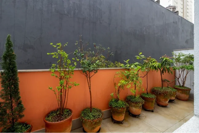 Imagem APARTAMENTO RESIDENCIAL em São Paulo - SP, Vila Romana