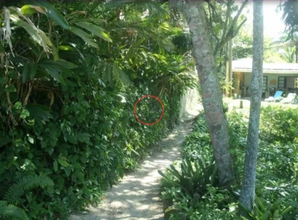 Imagem CASA PE NA AREIA NA PRAIA DE BOISSUCANGA