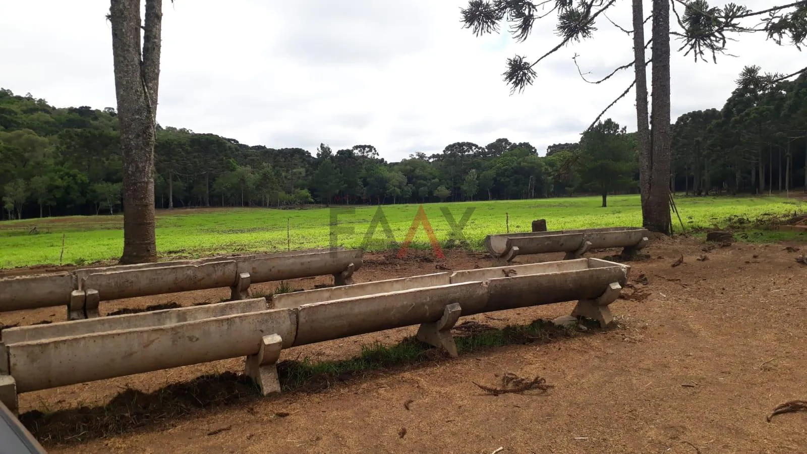 Imagem Area Rural Porteira Fechada, Arroio Fundo dos Rizis, TURVO - PR