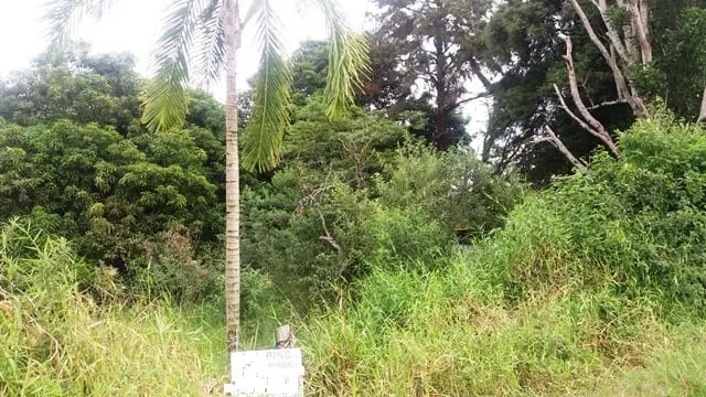 Imagem Chácara à venda 5200M², Cidade Nova, Pindamonhangaba - SP