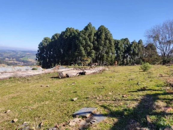 Imagem Granja para Venda em Ipumirim, Interior
