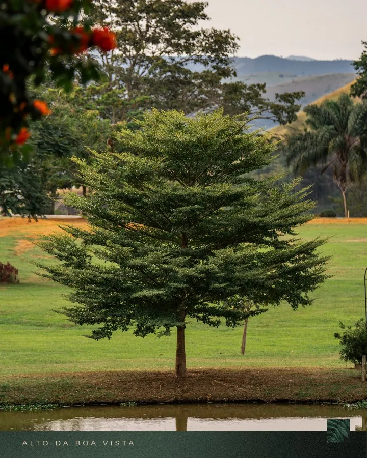 Imagem Terreno em Condomínio para Venda em Três Rios / RJ no bairro Nova Niterói