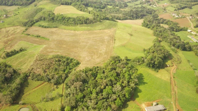 Imagem Área Agrícola para Venda em Concórdia, Rural