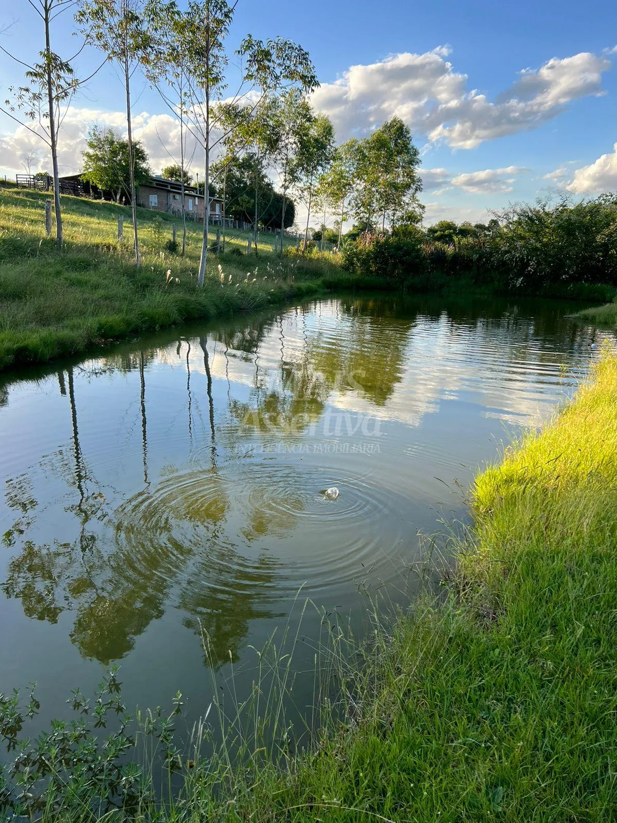 Imagem Chácara de 10 hectares para venda em Lomba Grande, Novo Hamburgo