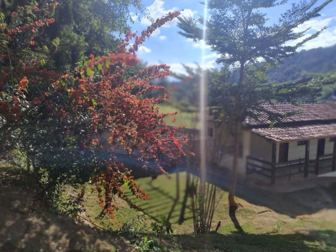 Imagem Linda Chácara à Venda em Moeda/MG / área total de 2.500 m²