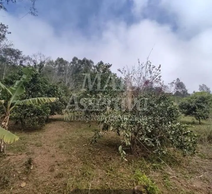 Imagem Sítio para venda em Nova Hartz Bairro Progresso
