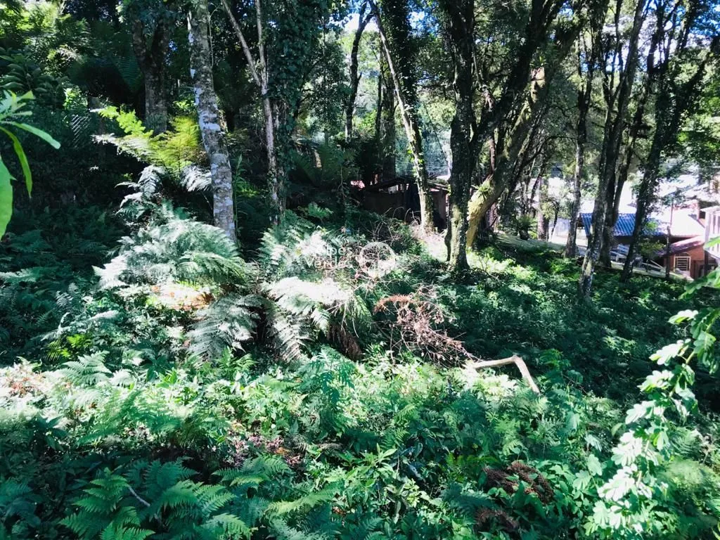 Foto do imóvel Terreno à venda, 840 m2 por R$ 419.999 - Palace Hotel - Canela/RS