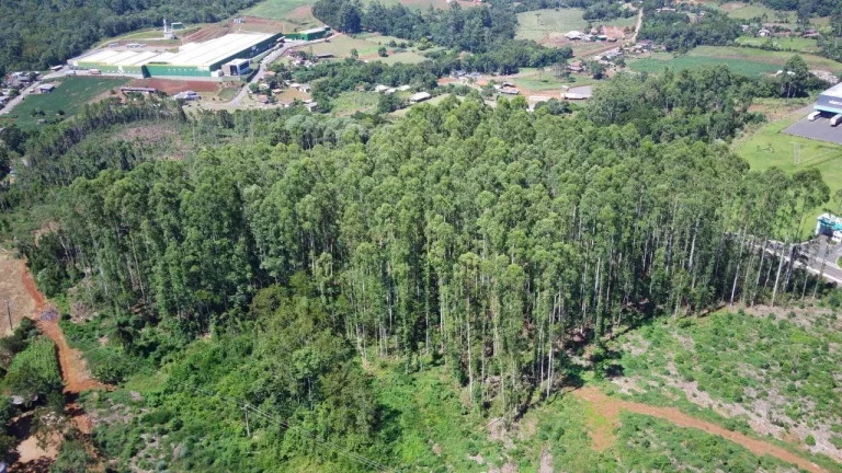 Imagem Terreno para Venda em Concórdia, Interior