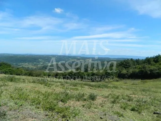 Imagem Excelente sítio para venda localizado no bairro Morungava em Gravataí/RS